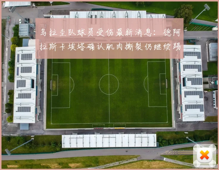 乌拉圭队球员受伤最新消息:德阿拉斯卡埃塔确认肌肉撕裂仍继续踢世界杯,附球队医疗评估解读